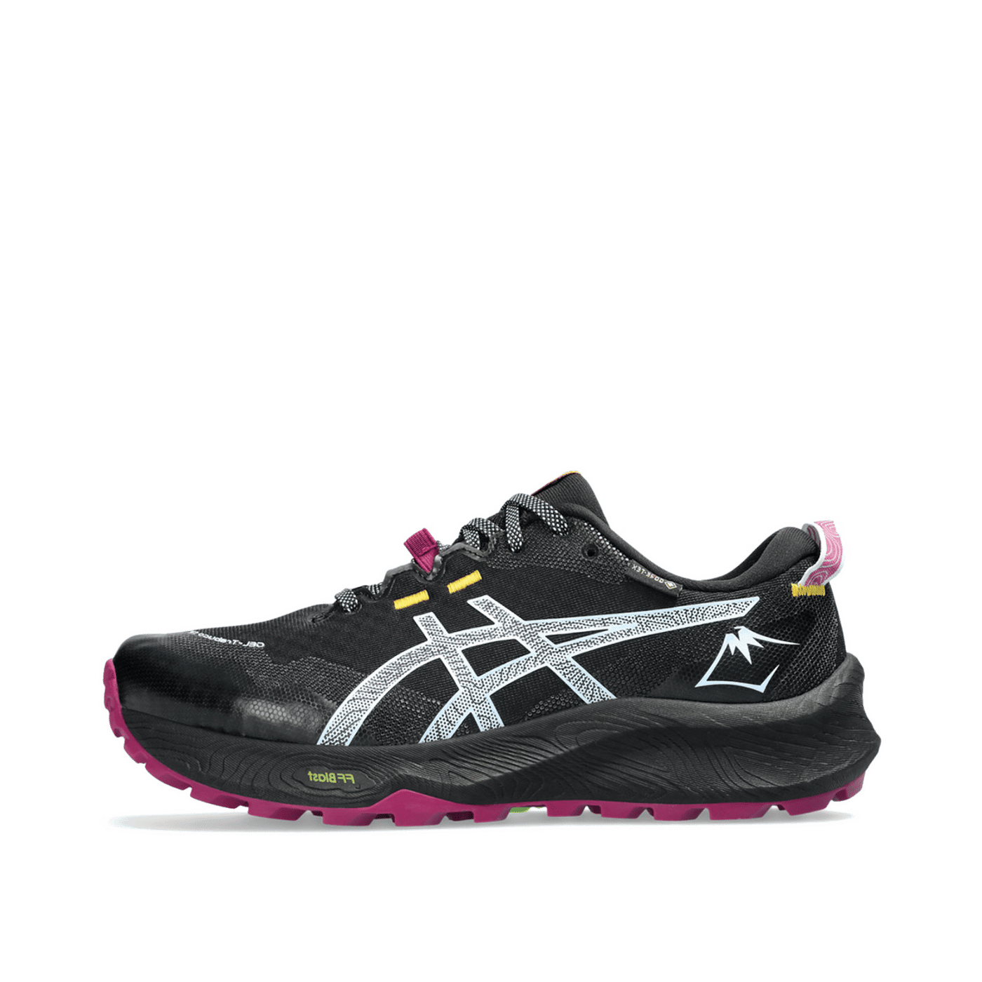ASICS GEL-Trabuco 12 GTX "Black" | 1012B607-001