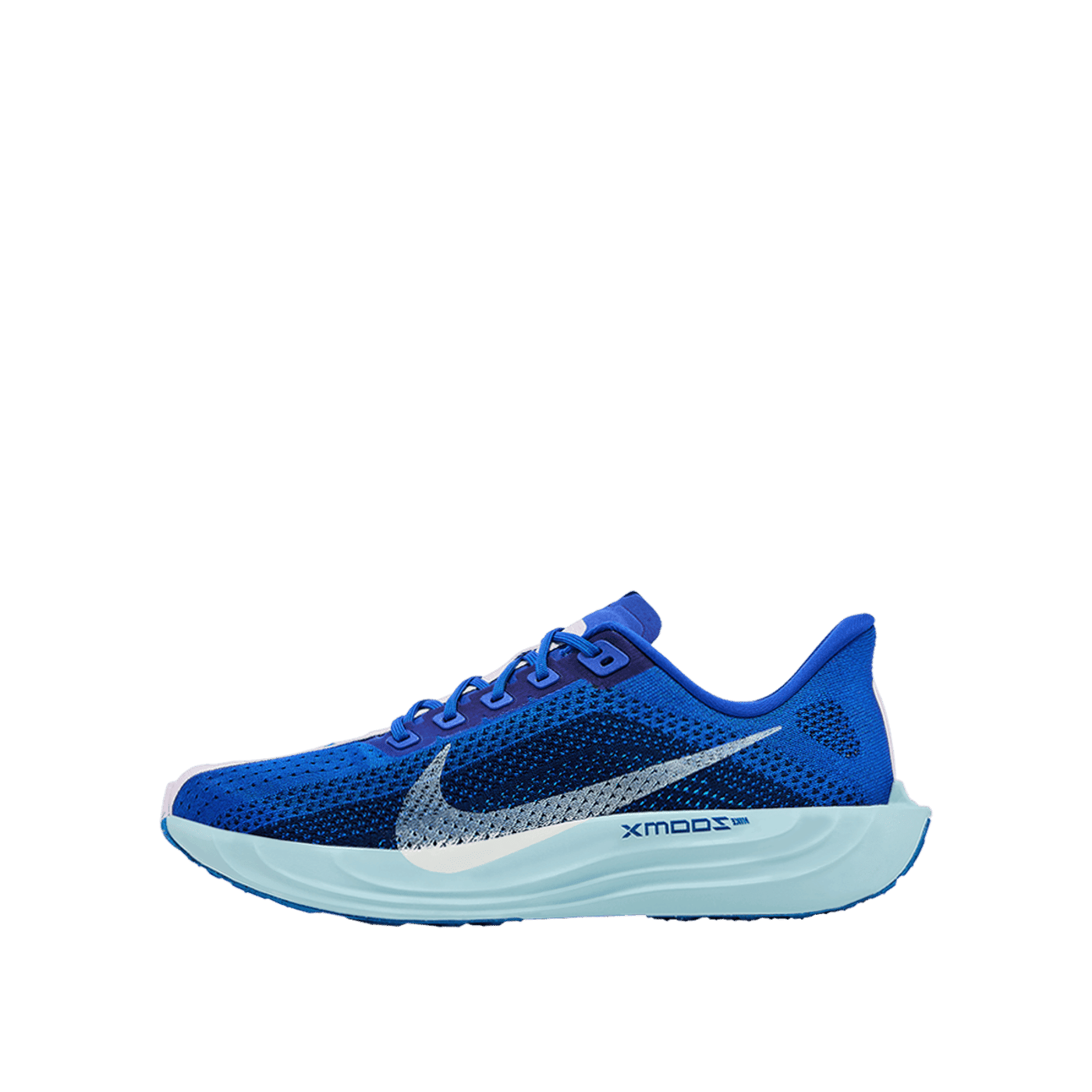 Nike Pegasus Plus "Blue" | HQ1719-400