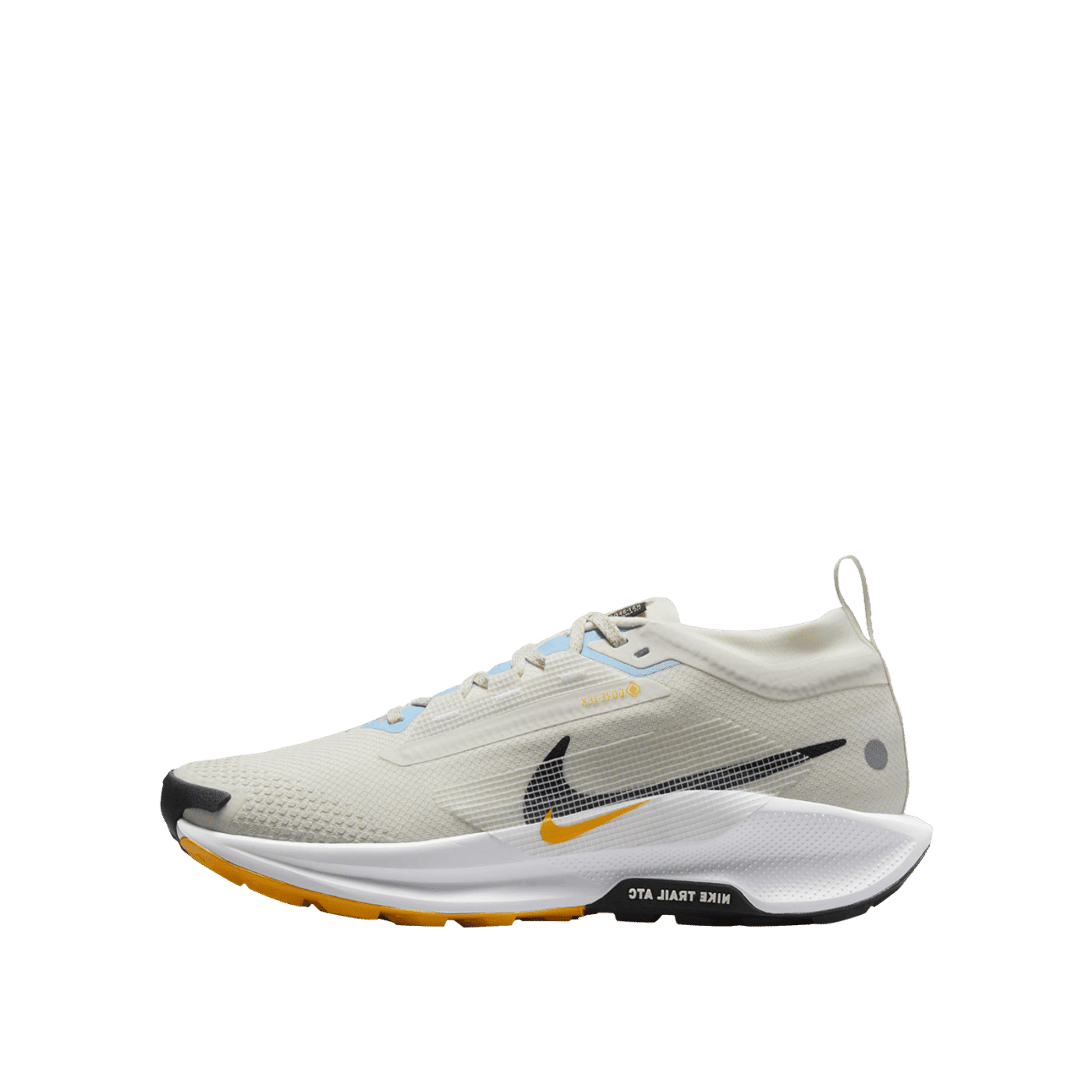 Nike Pegasus 5 Gore-Tex "Noir" | FQ0912-003