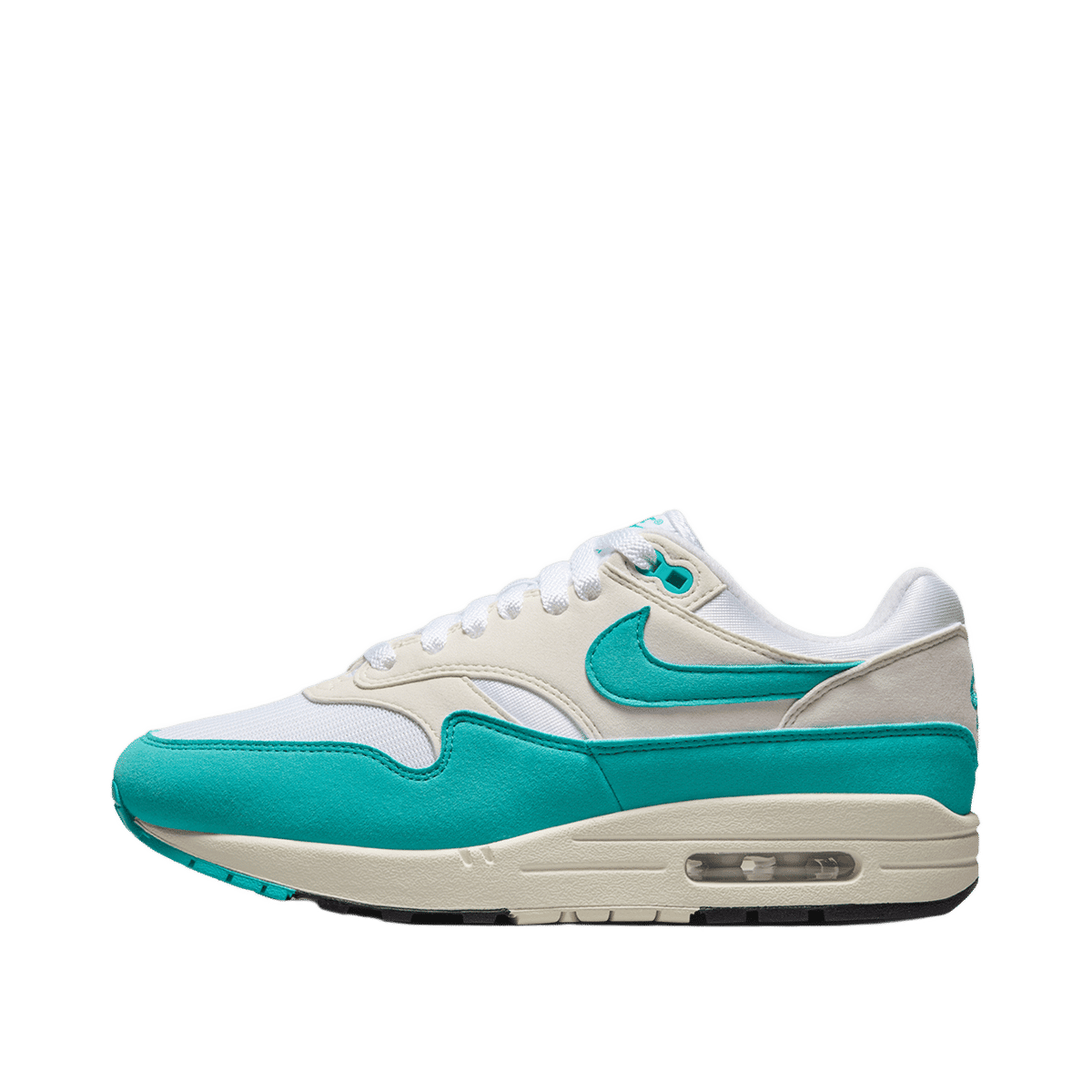 Nike Air Max 1 Dusty Cactus